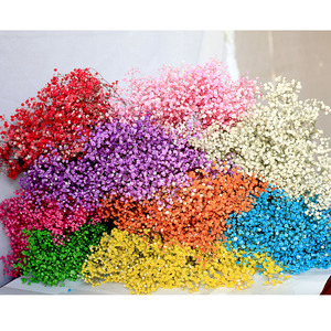 <span class=keywords><strong>Fleurs</strong></span> de Gypsophile Séchées Naturelles <span class=keywords><strong>et</strong></span> Préservées pour <span class=keywords><strong>Bouquet</strong></span> DIY – Véritables <span class=keywords><strong>Fleurs</strong></span> de Souffle de Bébé Fraîches <span class=keywords><strong>et</strong></span> Éternelles - Product Image 4