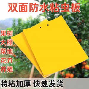 Double Sided Sticky Insect Trap Yellow Rectangle Physical Pest Control For Home And Outdoor Use Anti UV Waterproof - Product Image 5