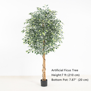 Gỗ Tự Nhiên Thân Cây Sống Động Như Thật Lá Nhân Tạo Ficus Cây Giả Cây Cho Văn Phòng Trang Trí Nội Thất - Product Image 4