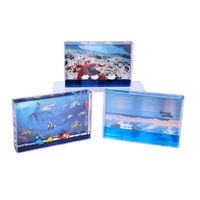 Offre Spéciale acrylique transparent Rectangle 4R image liquide flottant drôle bleu liquide cadre Photo