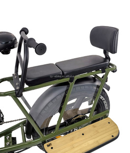 Bicicleta Eléctrica de 20 Pulgadas con Cuadro Bajo, Motor Trasero de 48V 500 750 1000W, Neumáticos Anchos y Asientos para Niños - Product Image 1