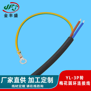 JFS Golden Peak YL 3-Pin Grounding Terminal Wire 2-Core Pure Copper Ring Terminals For Home Appliances And Air Purifiers - Product Image 4