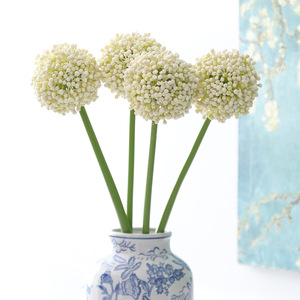 Y-H204 Meilleures ventes : Branches <span class=keywords><strong>de</strong></span> sérum artificielles en plastique, plantes succulentes, boules <span class=keywords><strong>de</strong></span> sérum pour la décoration <span class=keywords><strong>de</strong></span> tables d'événements et <span class=keywords><strong>de</strong></span> mariages - Product Image 3