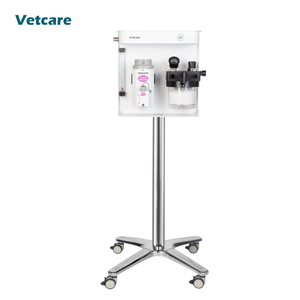 Chinese Fabriek GAVET-50 Veterinaire Apparatuur Anesthesie Machine Draagbare Anesthesie Machine Voor Veterinaire Ziekenhuis - Product Image 2