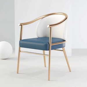 <span class=keywords><strong>Chaise</strong></span> de loisirs de luxe moderne pour la maison, la salle à manger, le bureau et le balcon thé pour les meubles de salon - Product Image 1