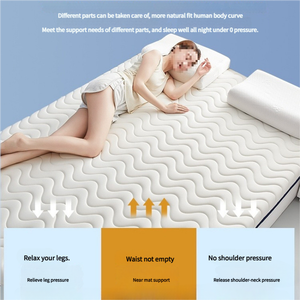 Colchón de algodón de alta densidad, colchón plegable enrollable para cama, colchón de espuma viscoelástica de Gel refrescante de látex Natural, tamaño Queen - Product Image 2