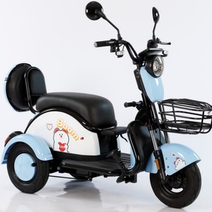 Electric Tricycles High Quality Fast Cheap 500w Motor 3 Wheels Color Customized Motorcycles for Adults <b>Passenger</b> - Product Image 1