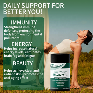 Suplemento alimenticio de venta caliente para bajar de peso, clorofila de sodio y cobre, desintoxicante natural, cápsulas de clorofila de sodio y cobre. - Product Image 2