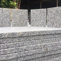 Dalles de granit gris en gros pour marches d'escalier extérieures et pierre naturelle flammée avec solution de design graphique pour escaliers en granit