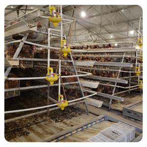 필리핀 계란 층 치킨 케이지 가금류 층 암탉 치킨 케이지 하우스 용 A형 배터리 케이지 절반 - Product Image 5