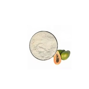 Enzima de Papaya en Polvo Natural para Ablandar Carne, Extracto de Papaya para Alimentos, Disponible para la Venta - Product Image 1