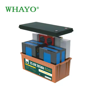 Whayo 급속 충전 <span class=keywords><strong>LiFePO4</strong></span> 배터리 150A 최대 충전 가정용 및 산업용 고성능 셀