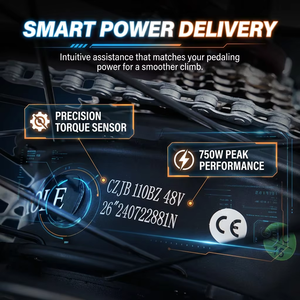 Vakole EMT29 29 pulgadas bicicleta de montaña eléctrica híbrida 250W Motor 60Nm Torque 720Wh batería SUSPENSIÓN COMPLETA para adultos - Product Image 4