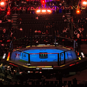 <span class=keywords><strong>Cage</strong></span> de combat MMA, panneaux de <span class=keywords><strong>cage</strong></span> MMA, <span class=keywords><strong>cage</strong></span> professionnelle MMA, <span class=keywords><strong>cage</strong></span> octogonale surélevée MMA, <span class=keywords><strong>cage</strong></span> octogonale MMA - Product Image 5