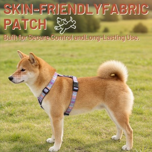Suministros Personalizados para el Entrenamiento de Perros, Arnés de Poliéster Ligero y Personalizado con Hebilla de Plástico - Product Image 4
