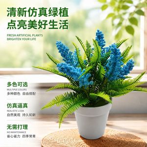 Plante artificielle lavande et cattail 25 cm, blanche et verte, en plastique avec pot, plantes décoratives d'intérieur pour fleuriste - Product Image 5