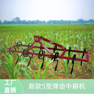 Farm <b>Cultivator</b> 4 Row S Type Spring Tine Medium For Corn Cotton Intercropping Soil Loosening - Product Image 3