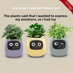 Thông Minh Tự Tưới Nước Trồng USB Sạc Trong Nhà Chậu Hoa Bảo Trì Thấp Thông Minh Nhà Máy Nồi Ivy - Product Image 2