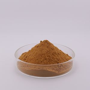 Poudre d'extrait de melon amer de qualité alimentaire 10% saponines 10:1 20:1 supplément à base de plantes de Momordica Charantia L emballé dans un tambour - Product Image 3