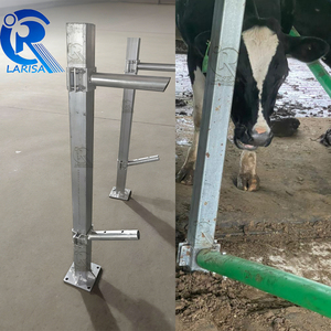 Flexible Free Stall for Dairy Cows Hot Galvanized Green Coated Cow Comfort Stall Cow Free Stall for Dairy Farm Equipment - Product Image 5