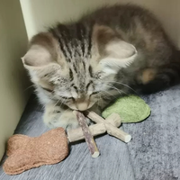 Jouet pour chat en os de poisson créatif, herbe à chat naturelle, jouet à mâcher pour chat en os de poisson Silvervine