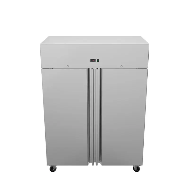 Low Temperature Quick-frozen Stainless Steel Inner Tank to Ensure Food Quality and Safety Professional Freezer with 2 Doors
