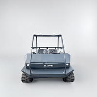Véhicule 4 places électrique VTT/utv Dune alimenté par batterie Buggy de plage électrique Prix Véhicule électrique sur chenilles Réservoir pour parc à thème