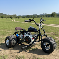 Venta al por Mayor en China, Triciclo Go-Kart Personalizado de 212cc, 4 Tiempos, Llantas de 5 Pulgadas, Go-Kart Todoterreno para Niños y Adultos, Kart para Exteriores