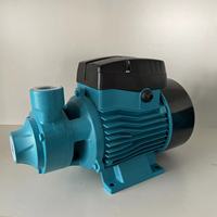 Pompes à Micro Vortex de 370W, pompes de surpression d'eau de Surface domestiques PM80