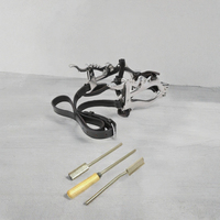 Kit dentaire pour chevaux McPherson : Spéculum, ouvre-bouche, étriers, râpes – Personnalisation acceptée – Métal Bison – 5 ans et plus