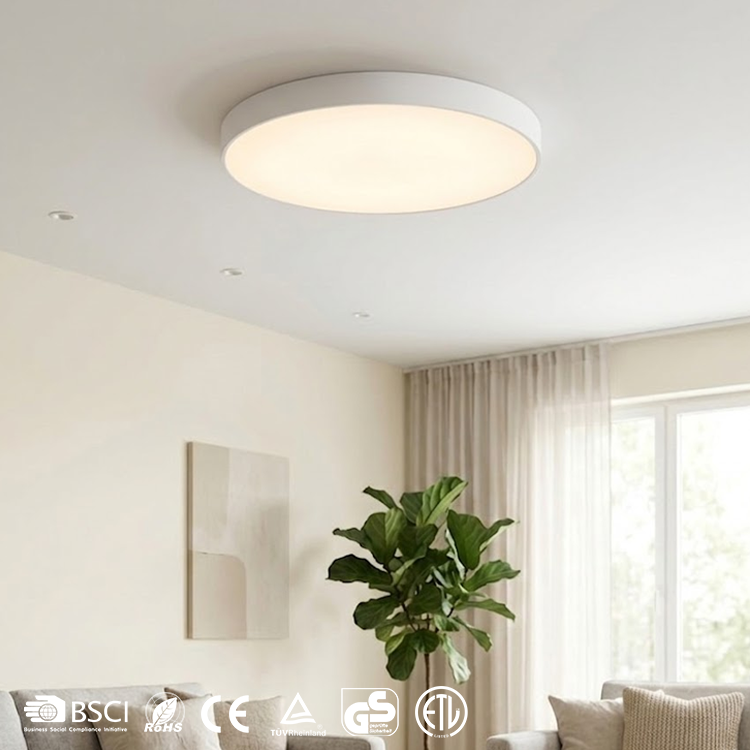 Promotional Light Color Adjustable PC 32W 48W Surface Mounted Oem Ceiling Lamps Modern Living Room Designer Ceiling Light