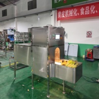 DQ Guangzhou Daqiao Industriële Broodvrucht Schil- en Snijmachine Hoge Efficiëntie 500 Stuks/Uur PLC Gecontroleerd Automatisch