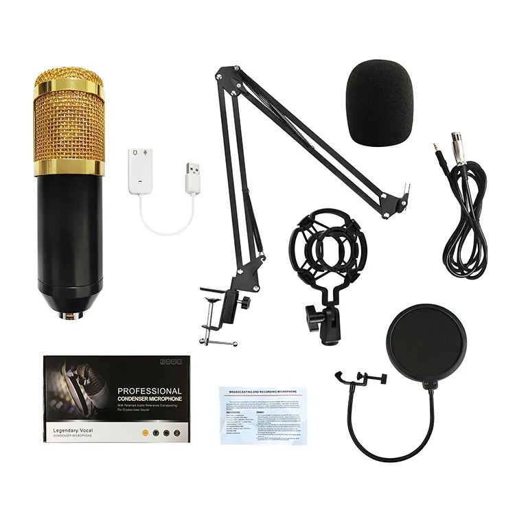 Hot Selling BM800 Microphone Professional Studio Condenser Sound Recording Microphone with Sound Card