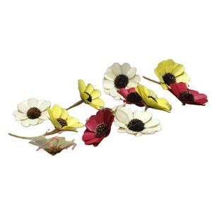 คอลเลกชันใหม่ของพืชและดอกไม้แห้งสีสันสดใสลายดอกกุหลาบตกแต่งต้นปาล์มทำด้วยมือ - Product Image 1