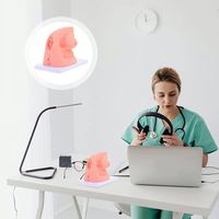 KyrenMed Órganos genitales femeninos y modelo de cateterismo uretral Simulador de entrenamiento Órganos internos y externos Modelo de anatomía