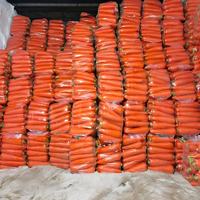 Zanahorias Frescas de Nueva Cosecha 2026, Shandong, Alta Calidad, Sabor Dulce y Crujiente, Alto Contenido de Vitaminas, Certificación GAP, Tamaños de 80-350g, Bolsa de PE de 10kg/20kg