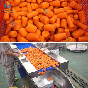 Công nghiệp bé cà rốt rửa, cắt, lột Máy Củ Cải củ cải cà rốt dây chuyền chế biến - Product Image 3