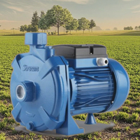 TECHNIC POWER Pompe à eau électrique pour irrigation de surface 1HP SCM100 0.75KW auto-amorçante