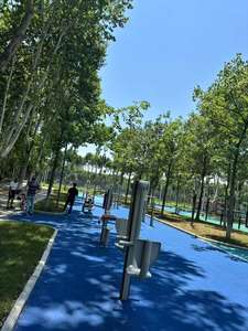 Equipo de <span class=keywords><strong>Ejercicio</strong></span> Físico <span class=keywords><strong>para</strong></span> Exteriores de Acero Resistente JieWei JW-S1077, en Oferta, <span class=keywords><strong>para</strong></span> Niños y Ancianos - Product Image 5