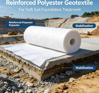 Géotextile en polyester renforcé pour le traitement des fondations des sols molles