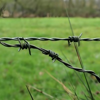 Fil de fer barbelé galvanisé haute résistance en gros d'usine, diamètres 1,6 mm, 2,0 mm, 2,5 mm pour la protection des prisons