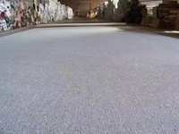 Tapis mural tissé tufté antidérapant en polyester lavable et écologique, prix usine, pour usage commercial, idéal maison, hôtel, bureau