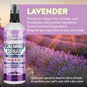 Aides d'entraînement pour chiens Petop en plastique : Spray <span class=keywords><strong>anti</strong></span>-mictions pour dresser votre animal à ne pas faire <span class=keywords><strong>pipi</strong></span> à l'intérieur ou à l'<span class=keywords><strong>extérieur</strong></span>, dissuasion <span class=keywords><strong>anti</strong></span>-marquage, écologique - Product Image 3
