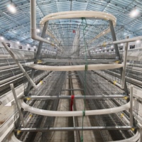 Système de cages d'élevage de poulettes de type A galvanisé à chaud, 3/4 niveaux, en fil d'acier Q235 pour poussins d'un jour