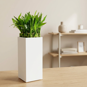 Modern <b>White</b> Square Vase Planter Decorative Flower <b>Pot</b> Elegant Desktop <b>Plant</b> Holder Minimalist Tabletop Centerpiece Contemporary - Product Image 1