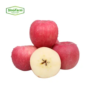 Fruits frais de pomme rouge FUJI Pomme à pépins rouge Fruits sucrés biologiques Vente en gros Meilleur prix