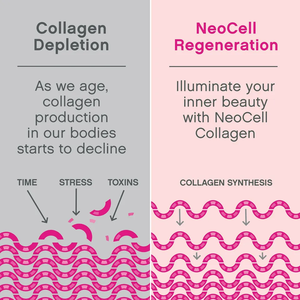 La poudre de peptides de collagène de marque de distributeur OEM de Biocaro boit les types <span class=keywords><strong>1</strong></span> et 3 pour la peau, les cheveux et les ongles Supplément de collagène hydrolysé