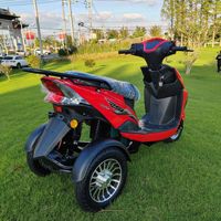 Scooter Eléctrico de Tres Ruedas para Adultos en Oferta, Triciclo Potente con Motor de Alto Rendimiento