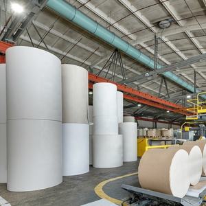 عملية صنع الورق إزالة إنزيم Stickie تقليل لاصقة أو مواد مبتذلة - Product Image 5