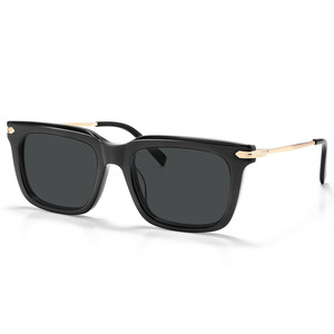 Lunettes <span class=keywords><strong>de</strong></span> <span class=keywords><strong>soleil</strong></span> rectangulaires <span class=keywords><strong>de</strong></span> haute qualité unisexes en acétate et métal, monture intégrale, UV400 polarisées, durables, <span class=keywords><strong>marque</strong></span> SARA, <span class=keywords><strong>grossiste</strong></span> <span class=keywords><strong>de</strong></span> luxe en Chine - Product Image 6
